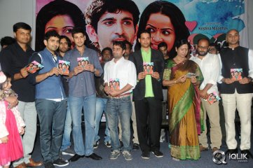 Hrudayam Ekkadunnadi Movie Audio Launch